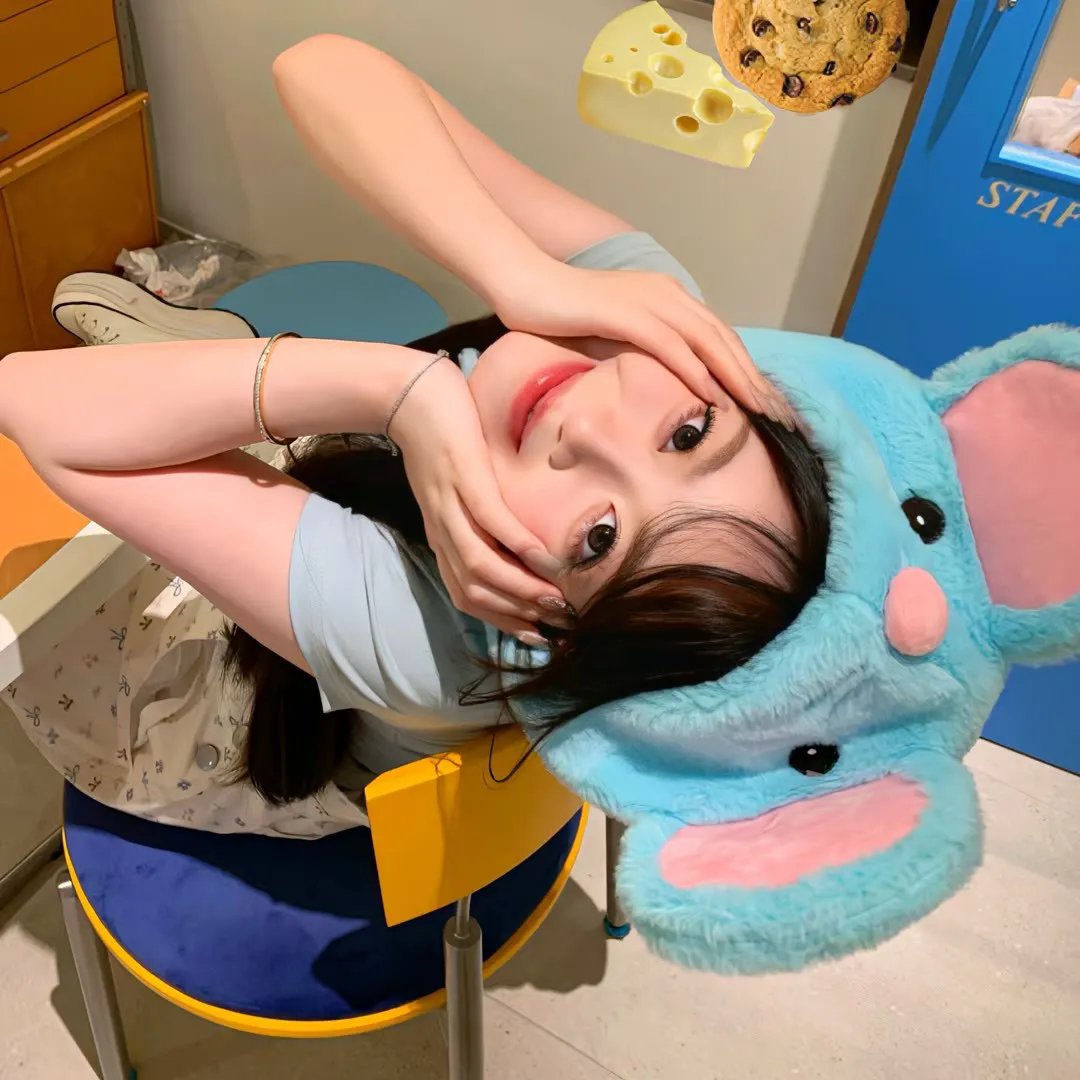 花篮花儿香 海报